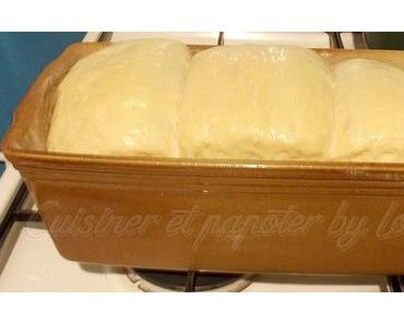 Brioche au kéfir de lait et au miel