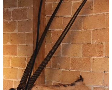 Restaurant Cinq Mains – Grégory Cuilleron, Vieux Lyon