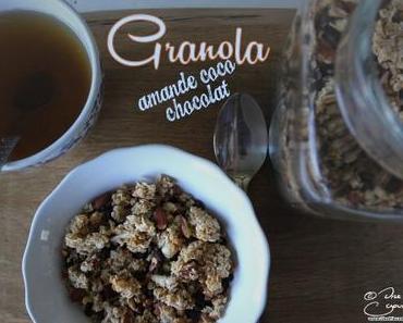 Granola amande, coco, chocolat