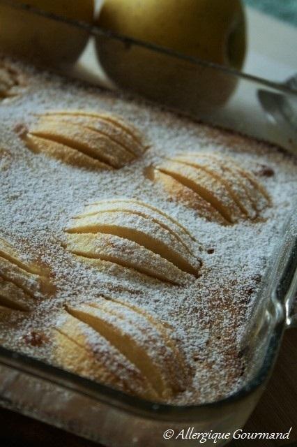 Clafoutis aux pommes Bio, sans oeufs, blé (gluten) ....