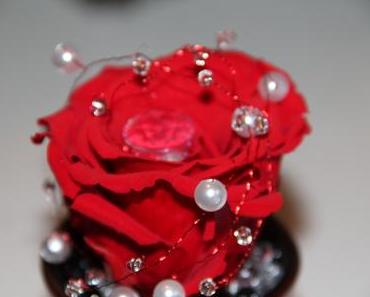 BONNE FETE AUX VALENTINES ET AUX VALENTINS !