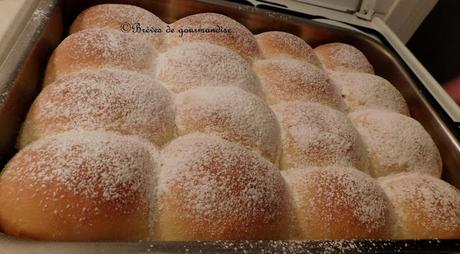 Brioche Buchty