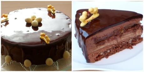 Entremet, chocolat, noisettes, citron