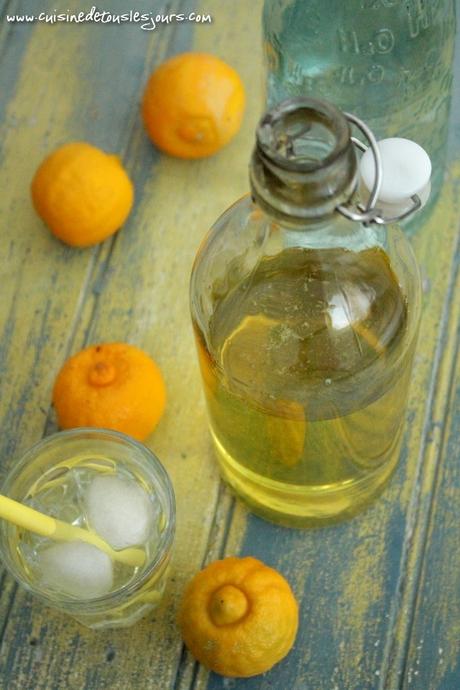 ©www.cuisinedetouslesjours.com - Sirop de citron bergamote