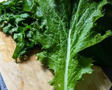 Un déjeuner en 15 minutes chrono – Tofu grillé et feuilles de moutarde