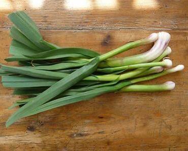 Sauce ou hachis à l’aillet