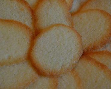 LANGUES DE CHAT