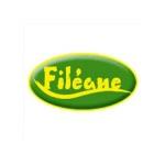 fileane-1238-moy