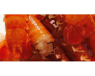 Fumet de langoustines anti gaspi