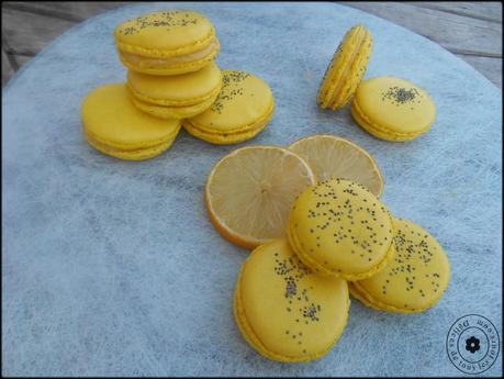 Macarons (attention roman en vue)