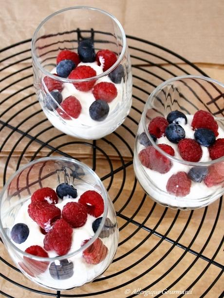 Mousse Fromage Blanc Bio aux fruits rouges, sans oeufs ni gluten