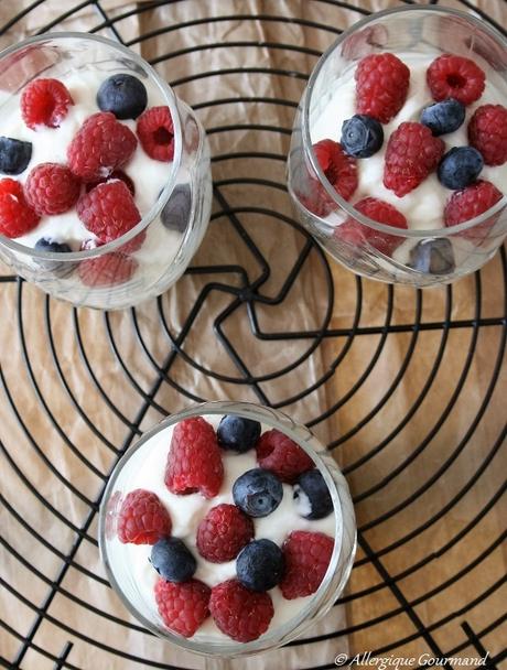 Mousse Fromage Blanc Bio aux fruits rouges, sans oeufs ni gluten