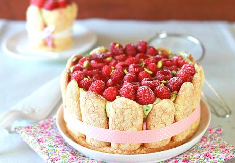 Charlotte à la mousse de framboises et chantilly à la pistache