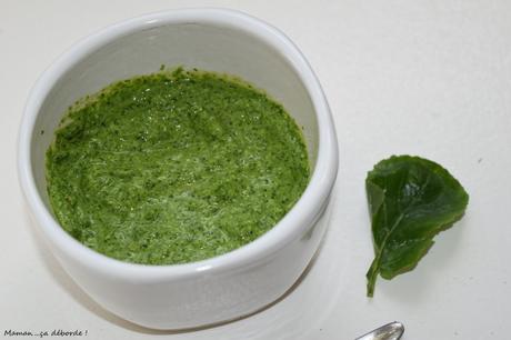 Pesto de fanes de radis