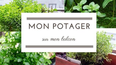 Mes plantations sur mon balcon