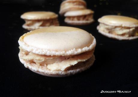 macaron gros plan