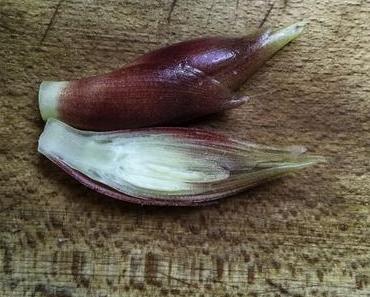 Connaissez-vous le myoga ? – Salade d’aubergines japonaise