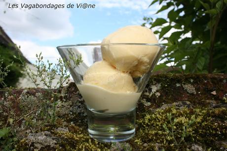 Glace à la mangue