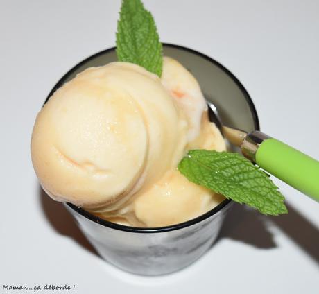 Sorbet aux pépins de melon