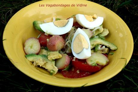 Salade Colombienne