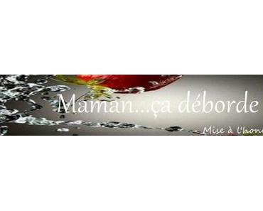 Mise à l’honneur # 17