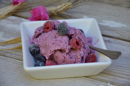 Frozen yoghourt framboises/myrtilles