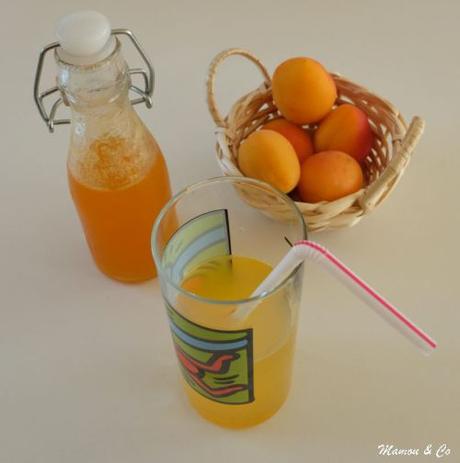 Sirop d’abricot maison