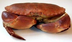 Pinces de crabes au gros sel