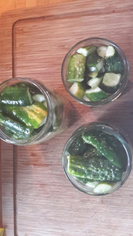 Conserves de cornichons au vinaigre