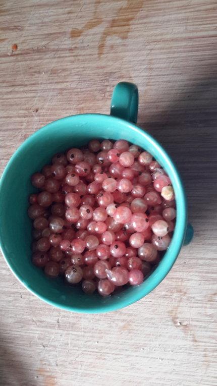 Moelleux aux amandes et groseilles 