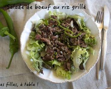 Salade de boeuf au riz grillé