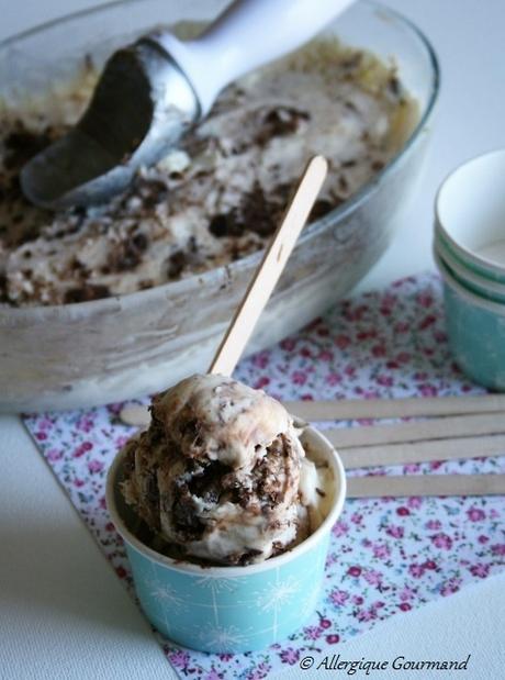 Glace à la menthe et chocolat Bio, sans oeufs, gluten