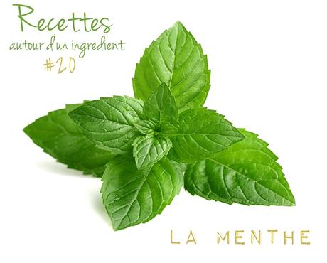 Glace à la menthe et chocolat Bio, sans oeufs, gluten