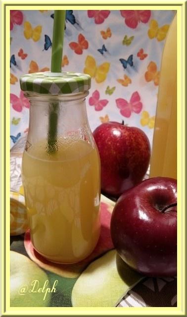 Jus de Pommes au thermomix