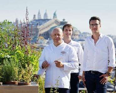 Potager de Chef: Thierry Marx offre "le plus court des circuits courts" au Mandarin Oriental
