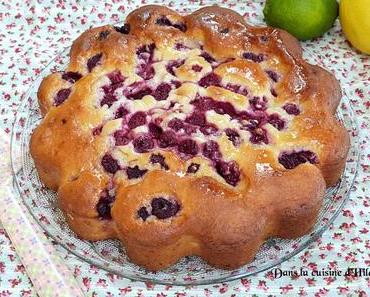 Gâteau fondant citron, citron vert et framboises / Raspberies, lemon and lime soft cake