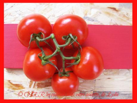 Tomate-mozzarella en barquettes de poireaux