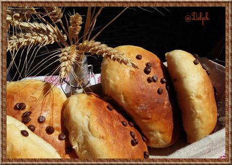 Petits pains briochés au yaourt bien moelleux 