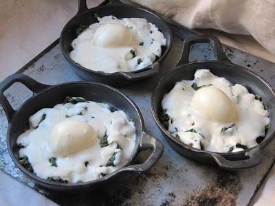 Oeufs florentine à l'oseille, sauce Mornay