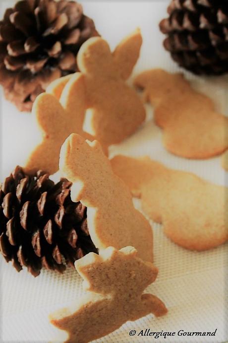 Petits Biscuits au Sucre Bio, aux épices de Noël, sans oeufs, gluten.....