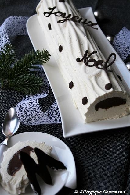 Bûche glacée menthe-verveine, avec insert chocolat, Bio, sans oeufs ni gluten