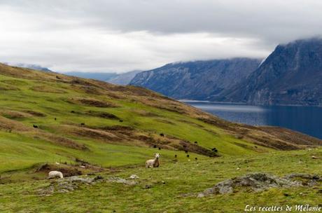 Road-trip en Nouvelle-Zélande: l’Ile du Sud