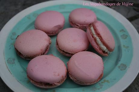 Macarons chèvre-figues