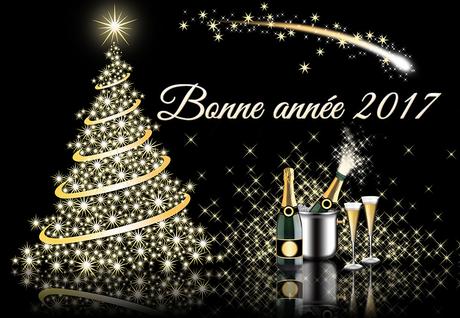 Je vous souhaites, une bonne et heureuse année 2017, à vo...