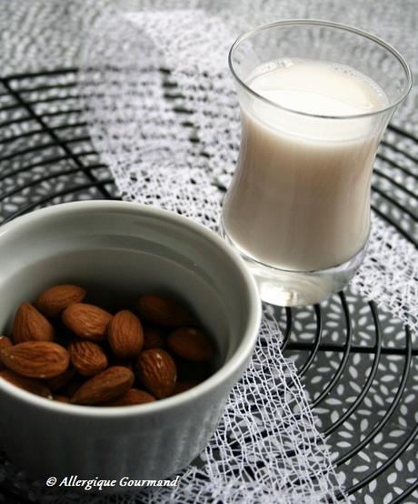 Lait d'amande maison, Bio, (boisson végétale)