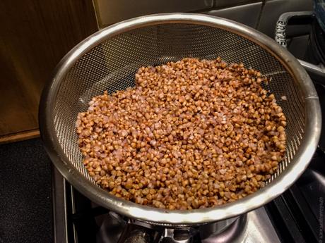 Végétal – Canneloni de chou, farce au sarrasin et shiitake