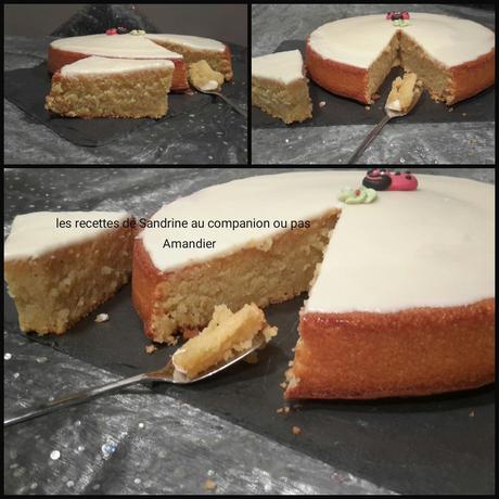 Amandier ou gâteau fondant aux amandes au companion, thermomix, i cook'in ou sans robot