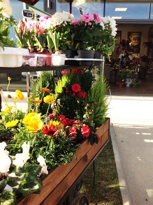 Les Fleurs du Sud - 13 100 Aix-en-Provence