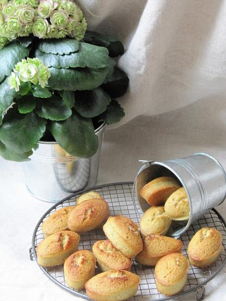 Financiers à la pistache