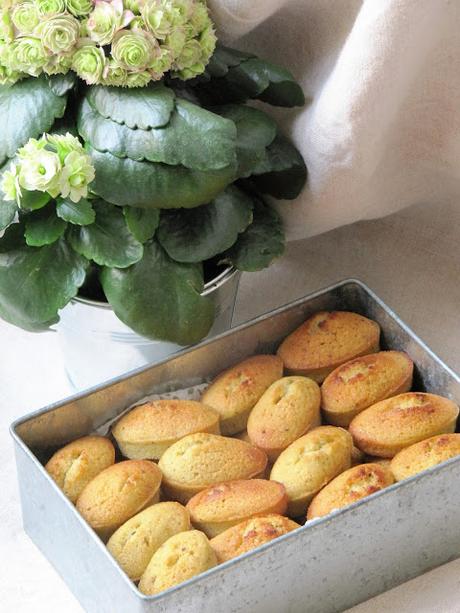 Financiers à la pistache